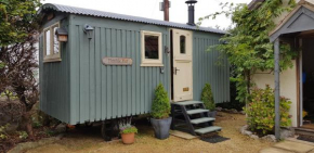 Elmdale Hut - Shepherds Hut